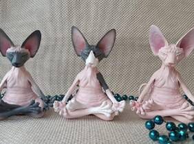 Cupón descuento oferta Estatua de gato meditando: Rosa