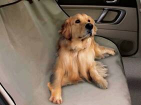 Cupón descuento oferta Funda impermeable de mascotas para coche