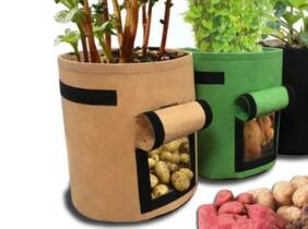 Cupón descuento oferta Bolsas de cultivo: Negro / 1 / S