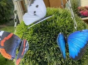 Cupón descuento oferta Paquete de 4 clips de decoración de mariposas: 1