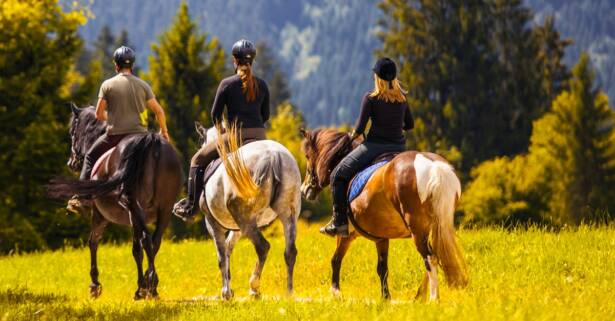 Paseo a caballo para 2 personas en plena Sierra de Guadarrama