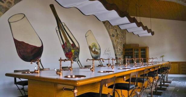 Visita a bodega y cata de vinos