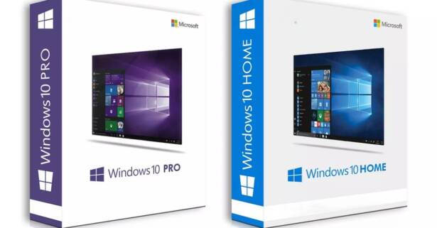 National Deal Licencia perpetua de Microsoft Windows 10 Pro o Familia a elegir