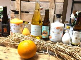 Valencia Cata de cervezas y licores artesanales con visita guiada para 1