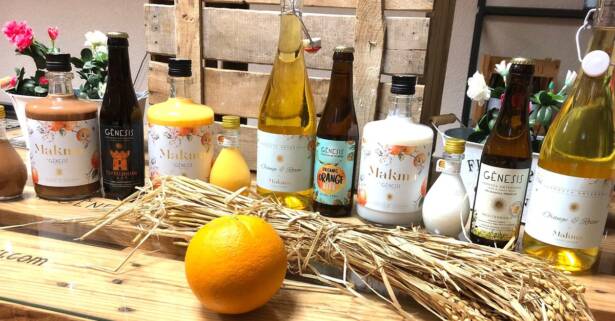 Valencia Cata de cervezas y licores artesanales con visita guiada para 1