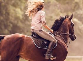 Madrid Paseo a caballo con todo el material incluido para 1 o 2 personas
