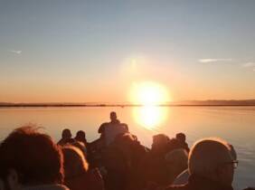 Valencia ¡Descubre la magia de la Albufera en barca!