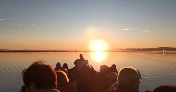 Valencia ¡Descubre la magia de la Albufera en barca!