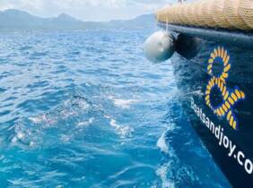 Palma de Mallorca Hasta 19% de dto. en Alquiler de lanchas motoras en Boats And Joy