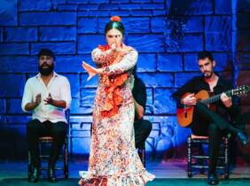 Sevilla 1 o 2 entradas para adulto