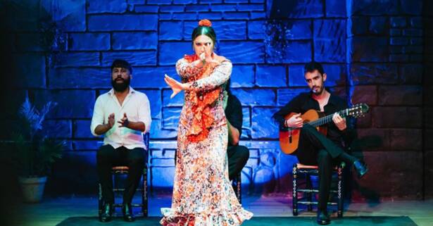 Sevilla 1 o 2 entradas para adulto