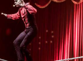 Vitoria Entrada oro o plata para niño o adulto al espectáculo ""Viva el circo""