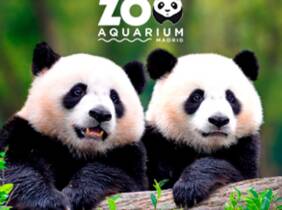National Deal ¡Oferta especial en el Zoo Aquarium de Madrid!