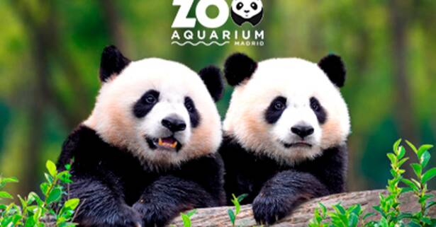 National Deal ¡Oferta especial en el Zoo Aquarium de Madrid!
