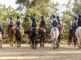Palma de Mallorca Paseo a caballo y visita a finca mallorquina para 1 o 2 personas