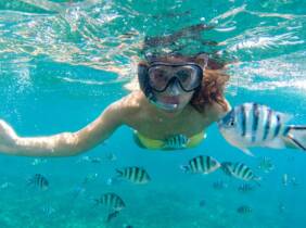 Alicante Aventura submarina: snorkel con opción a barco en la costa alicantina