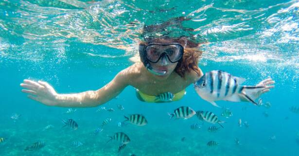 Alicante Aventura submarina: snorkel con opción a barco en la costa alicantina