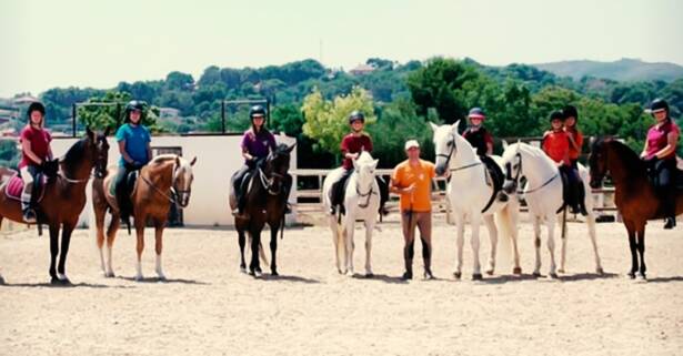 Valencia Equitación - Entrenamiento