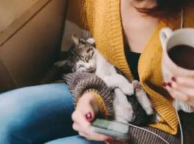 Sevilla Una tarde felina: acceso al salón para 2 o 4 personas con consumición