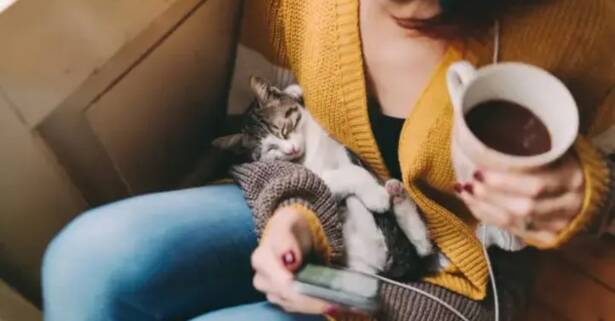 Sevilla Una tarde felina: acceso al salón para 2 o 4 personas con consumición