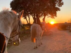 Madrid Ruta de 1 hora a caballo para hasta 4 personas con opción a iniciación