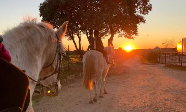 Madrid Ruta de 1 hora a caballo para hasta 4 personas con opción a iniciación