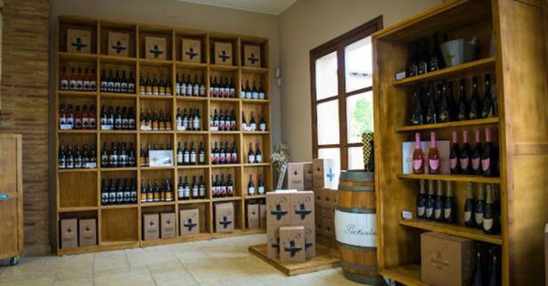 Zaragoza Visita a bodega con cata de vino y aperitivos para 2 personas