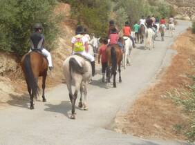 Granada Paseo a caballo de 1 hora para 2 o 4 por paraje natural de Granada
