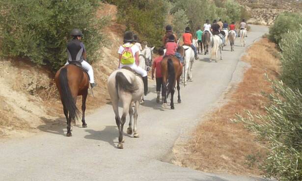 Granada Paseo a caballo de 1 hora para 2 o 4 por paraje natural de Granada