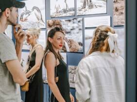 Girona Salas - Exposiciones