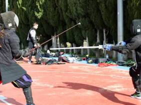 Palma de Mallorca Hasta 8 clases de esgrima histórica para 1 persona