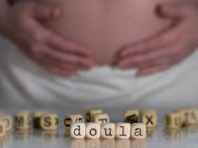 National Deal Sesiones de doula online o acompañamiento psicológico del embarazo