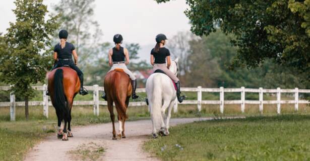 Sevilla Ruta a caballo de 90 minutos para 2 o 4 personas