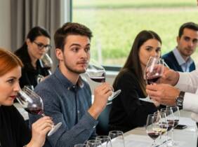 Madrid Excursión -Vino/Viñedos