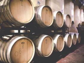 Madrid Excursión -Vino/Viñedos
