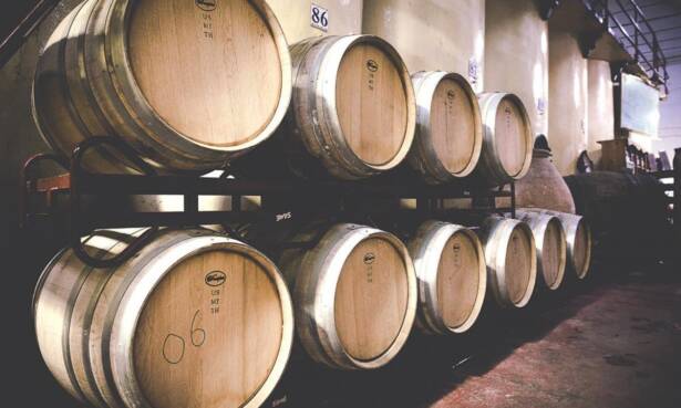 Madrid Excursión -Vino/Viñedos