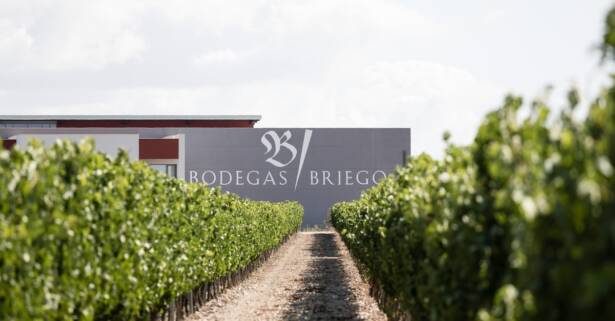 Valladolid Visita guiada a la bodega y cata de vino en Bodegas Briego