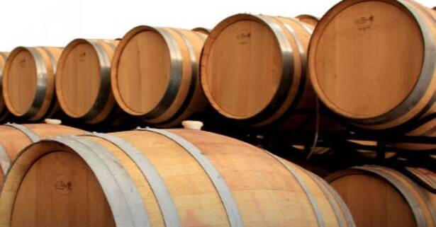 Almería Visita a bodega con cata