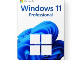 National Deal Microsoft Windows 11 Professional