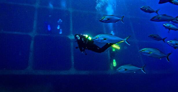 Tenerife Exploraciones submarinas garantizadas con instructores expertos