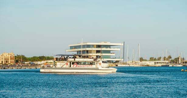 Valencia Paseo en catamarán con baño en alta mar y bebida para niño o adulto