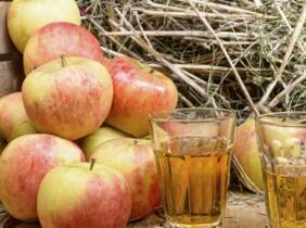 Madrid Cata de sidras y degustación de quesos para 2