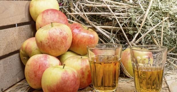 Madrid Cata de sidras y degustación de quesos para 2