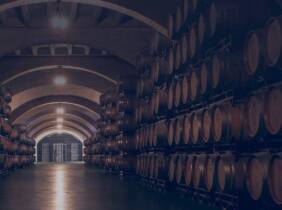 Logroño Excursión -Vino/Viñedos