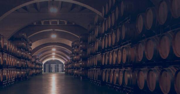 Logroño Excursión -Vino/Viñedos