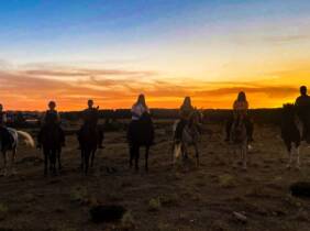 Madrid Disfruta de un paseo a caballo de una hora para hasta 4 personas