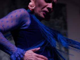 Sevilla Entrada a show de flamenco con bebida incluida para 1 o 2 personas