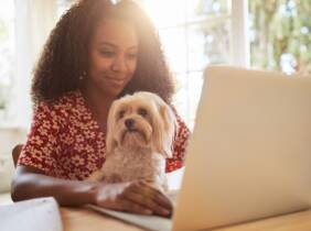 National Deal Curso online de modificación de conductas no deseadas en perros