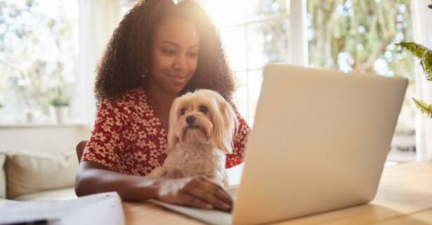 National Deal Curso online de modificación de conductas no deseadas en perros