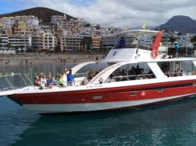 Tenerife Paseo en barco para avistamiento de cetáceos